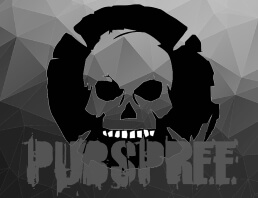 PUBSPREE